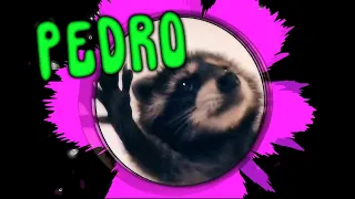 PEDRO - Jaxomy, Agatino Romero, Raffaella Carrà | Pedro Raccoon | TikTok SONG | Visualizer