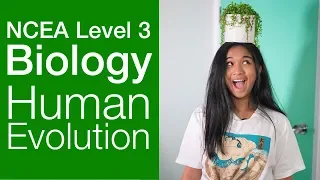 Human Evolution | NCEA Level 3 Biology Strategy Video | StudyTime NZ