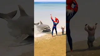 GTA V : SPIDERMAN SAVING DOLPHIN AND BABY 🥺 | #shorts #gta5