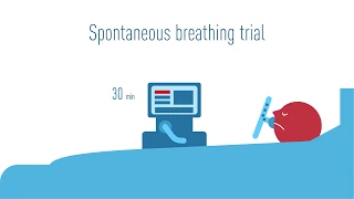 ICM Pulse: Can rest after a spontaneous breathing trial reduce reintubation?