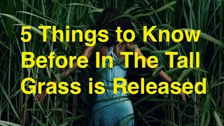 5 Things to Know Before Watching In the Tall Grass on Netflix