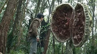 小伙落入远古丛林，被巨大的食人花袭击！【大蛇4：迷失世界】|驚悚 災難 |【電影派對】