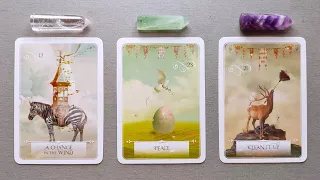 WHAT DOES FATE HAVE IN STORE FOR YOU? 🌟🌷🎁 Pick A Card 🔮✨ Timeless Tarot Reading