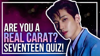 seventeen quiz that only REAL CARATs can perfect