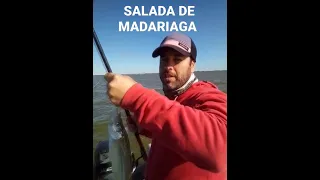 Salada grande de Madariaga