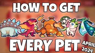 Prodigy Math Game | How to Obtain EVERY Pet in Prodigy! (April 2024)