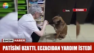 Patisini uzattı, eczacıdan yardım istedi