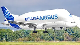 30 MINUTES of GREAT Plane Spotting at TOULOUSE AIRPORT Airbus Factory [TLS/LFBO]