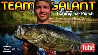 Fun Perch Fishing in Sweden | Team Galant (English Subtitles)