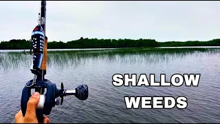 Early Summer MUSKY fishing (Northern Wisconsin) topwater and blades