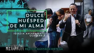 Dulce huésped de mi alma | Pastor Gustavo Ortega | Predica 2019 |