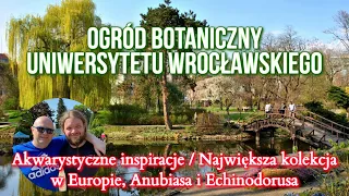 Inspiracje Akwarystyczne. Ogród Botaniczny Uniwersytetu Wrocławskiego #aquascapingtv