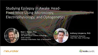 Studying Epilepsy in Awake Head-Fixed Mice Using Microscopy, Electrophysiology, and Optogenetics
