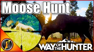 Hunting Bull Moose with The .300 Win Mag! | Way of the Hunter