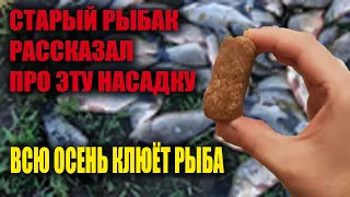 КЛЮЁТ КАК ЛЕТОМ! ЛОВИ ПО ХОЛОДНОЙ ВОДЕ НАСАДКА НА КАРАСЯ. КАРПА. ЛЕЩА.ПЛОТВУ