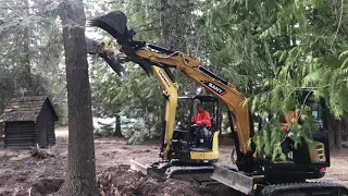 Yanmar vs. Sany mini ex 35U pushing over trees