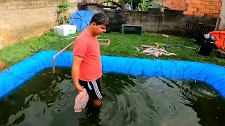 MORREU TODOS OS MEUS PEIXES DO LAGO! veja o que aconteceu