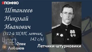 Штангеев Николай Иванович. Проект "Я помню" Артема Драбкина. Летчики-штурмовики.