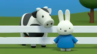 nijntje en de koe | nijntje's avonturen, groot en klein | nijntje's serie voor kinderen