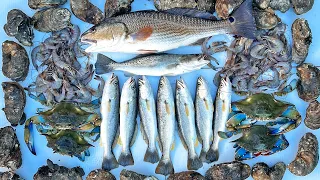 FISH, OYSTERS, SHRIMP, and CRABS Catch and Cook