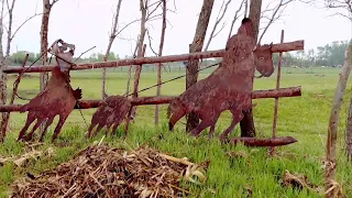 Waterloo woman loses horse in storm just days before opening equine therapy business