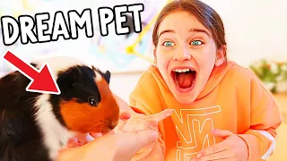 NAZ FINDS OUT SHE GETS A GUINEA PIG FOREVER w/the Norris Nuts