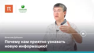 Мозг и любопытство — Вячеслав Дубынин