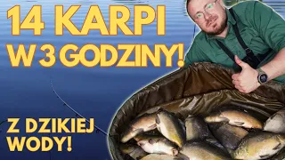 AŻ POŁAMAŁEM PODBIERAK! | Karpie na method feeder z dzikiej wody | Mocne brania na feeder!