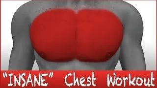 Chest Workout "INSANE EDITION" - No Music