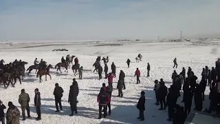 Шабандозды серкесімен бірге жұлып алды Көкпар Шубарсу