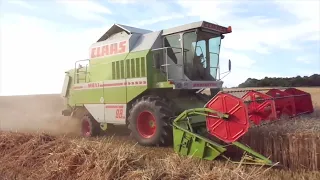 Weizenernte 2023 Claas Dominator 98SL Maxi x Claas Ares 617 ATZ  mit Motorsound