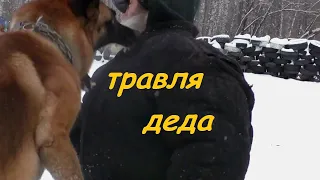 по плодам узнаете их..Мф.7:16