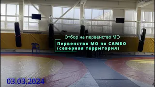 Первенство Московской области по САМБО (территория север) 2024