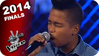 Bruno Mars - When I Was Your Man (Danyiom) | The Voice Kids 2014 | Finals | SAT.1