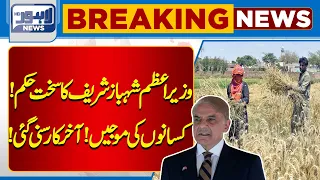 Prime Minister Shehbaz Sharif's Strict Order In Favour Of Farmers! | Lahore News HD