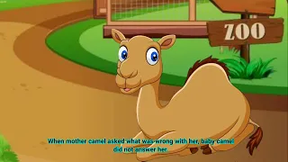 Baby Camel and His Mother with English Subtitle - Bedtime Story