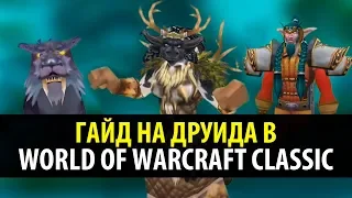 Привкус Ваниллы 🍦 Классовый Гайд на Друида в WoW Classic