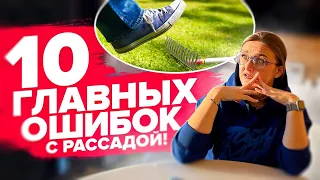 РАССАДА БОЛЕЕТ! Как вылечить?