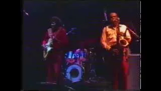 Albert Collins & the Icebreakers Westfalenhalle Dortmund 26-11-1980