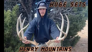 2022 SHED HUNTING THE HENRY MOUNTAINS || HUGE SETS