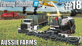 Harvesting CORN SILAGE 🌽 w/ CLAAS JAGUAR | Aussie Farms 22 | Farming Simulator 22