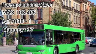 Поездка на автобусе МАЗ 103.465(421) гос.ном.:АЕ 7088-1 Маршрут 37 ЦГБ-ОАО"Брестское пиво"