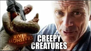 The Creepiest Monsters | Compilation | River Monsters