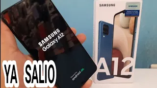 Formatear samsung galaxy a12 android 11/ Hard reset samsung a12 -Quitar contraseñas patron password