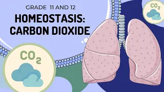 Carbon Dioxide | HOMEOSTASIS | Easy to understand