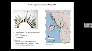 Pining for Home: Assisted Migration as a Climate Change Adaptation Strategy