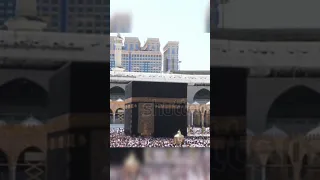 SubhanAllah Walhamdulillah❤️❤️ #shorts #ytshorts #islamic #viral #trending #shortvideo #status