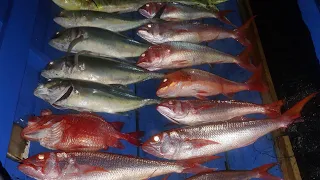 jigging perairan Tarakan