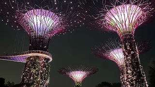 Gardens by the Bay Light-show, Singapore! 🇸🇬