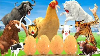 10 Monster Lion vs 10 Giant Buffalo vs Giant Tiger Wolf Fight For Cow Cartoon Giant Chicken Eggs
